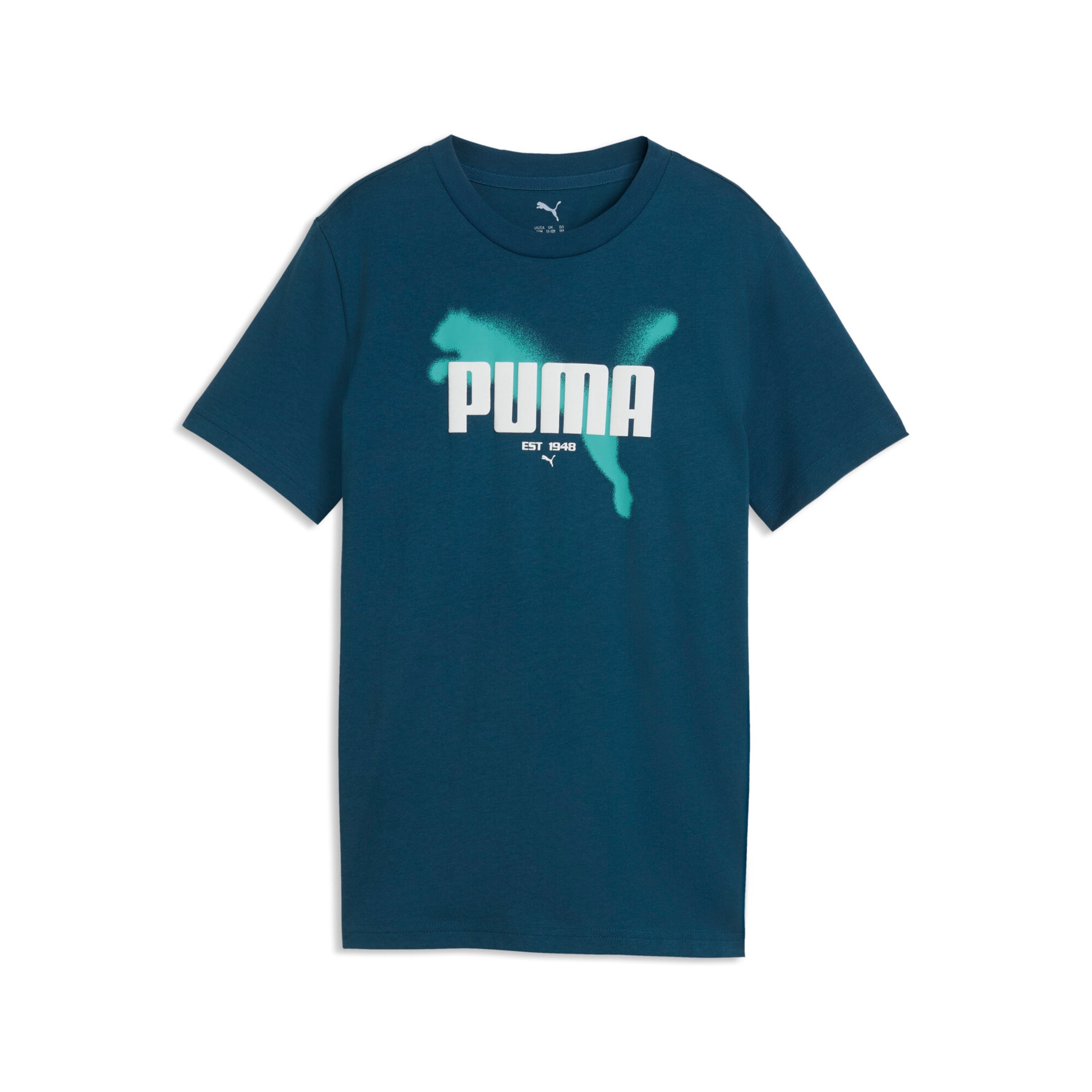 PUMA T-Shirt in Blau: Vorderseite