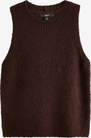 Top in maglia di Next in marrone: frontale