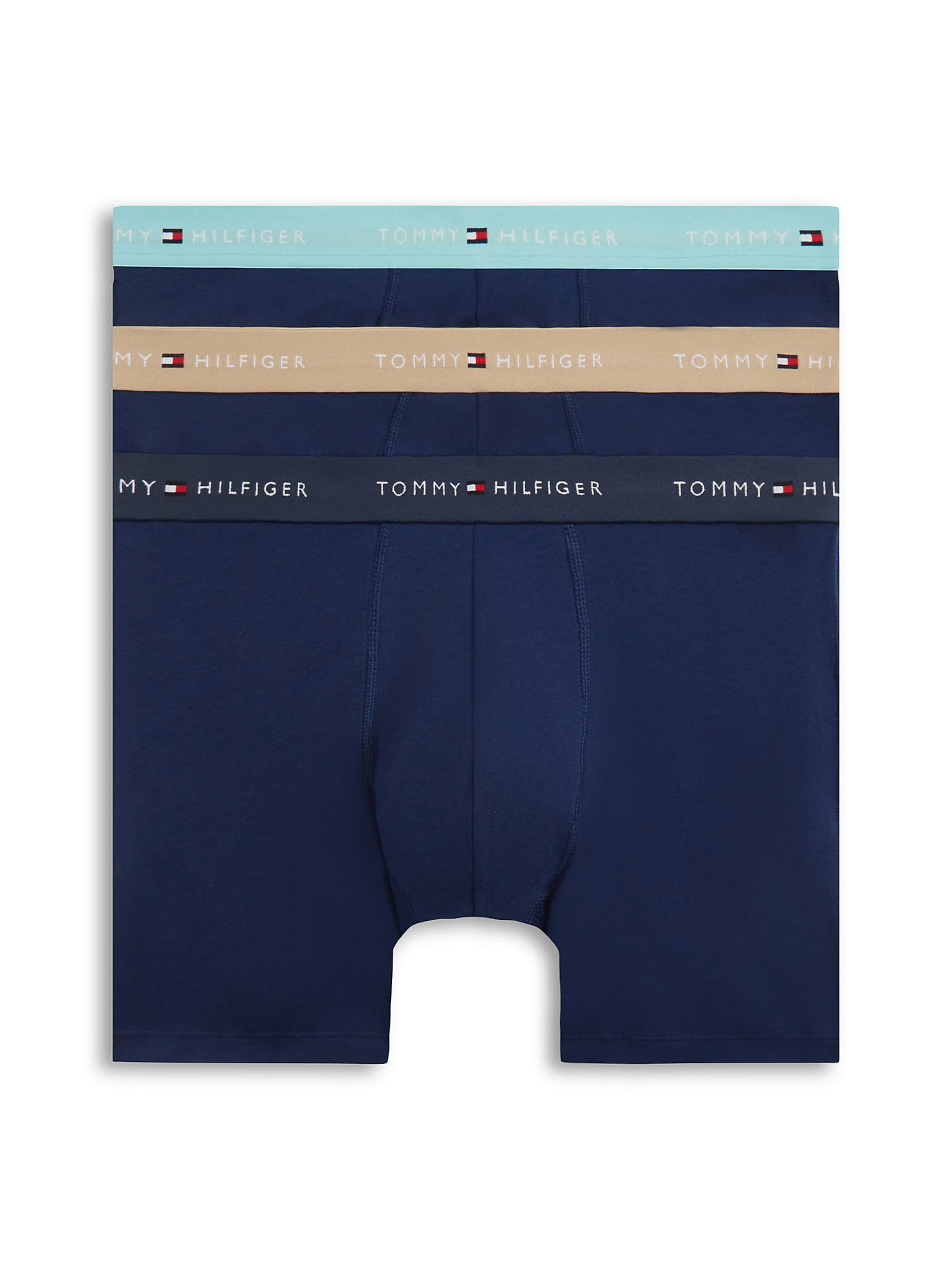 TOMMY HILFIGER Boxer shorts in Blue: front