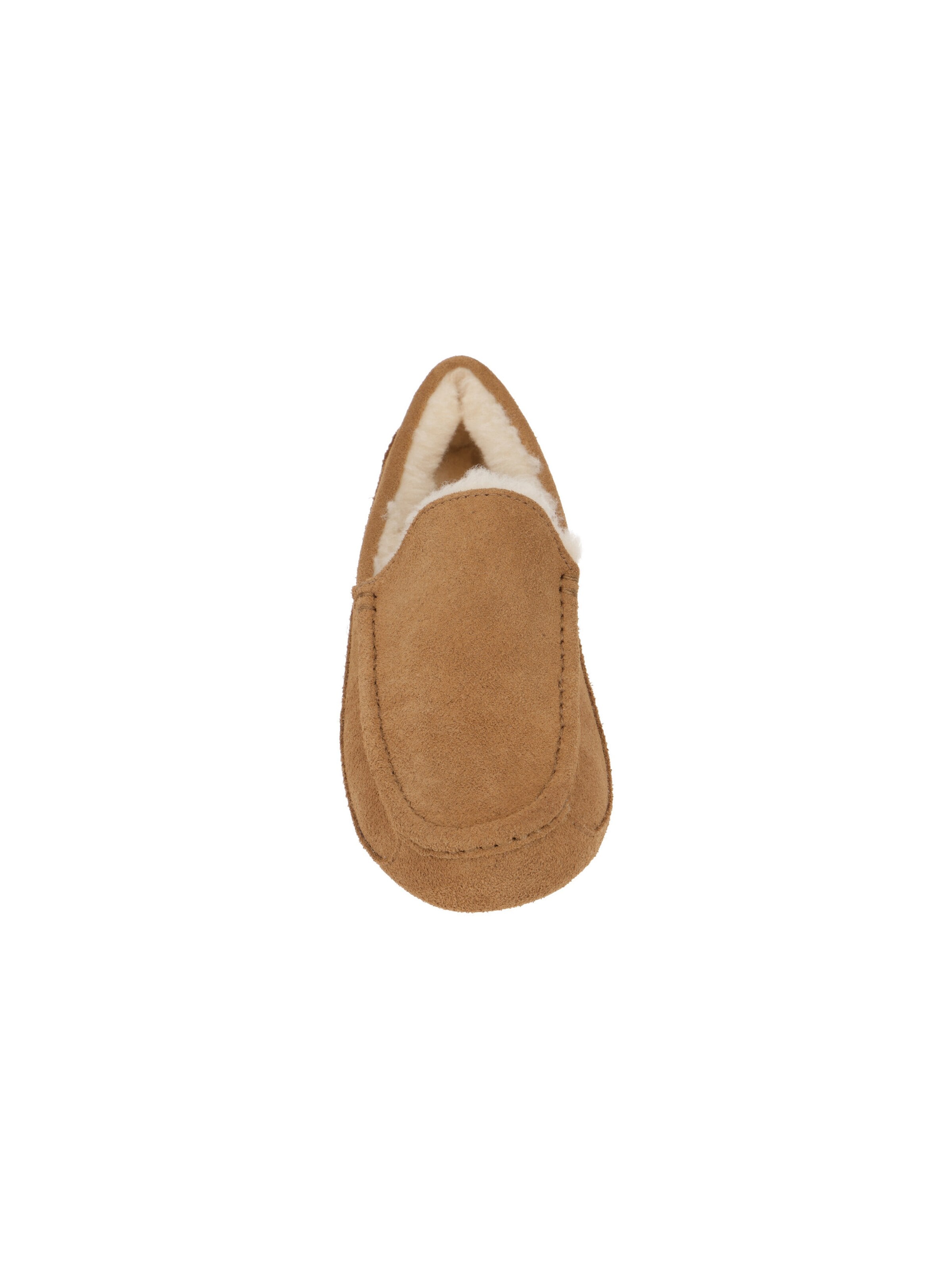 UGG Slipper 'Ascot 1101110'‌‌‌‌‌‌ in Braun
