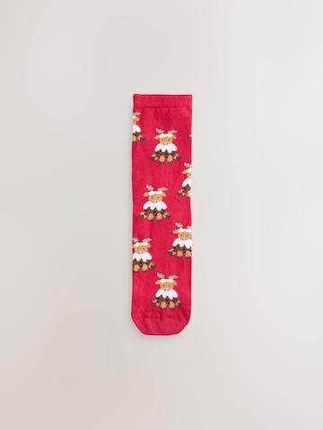 Next Nogavice | mešane barve barva