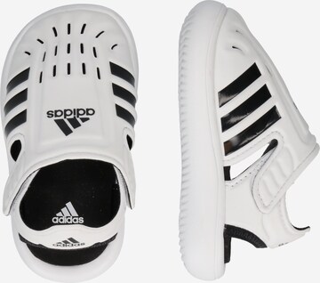 Flip-flops de la ADIDAS SPORTSWEAR pe alb