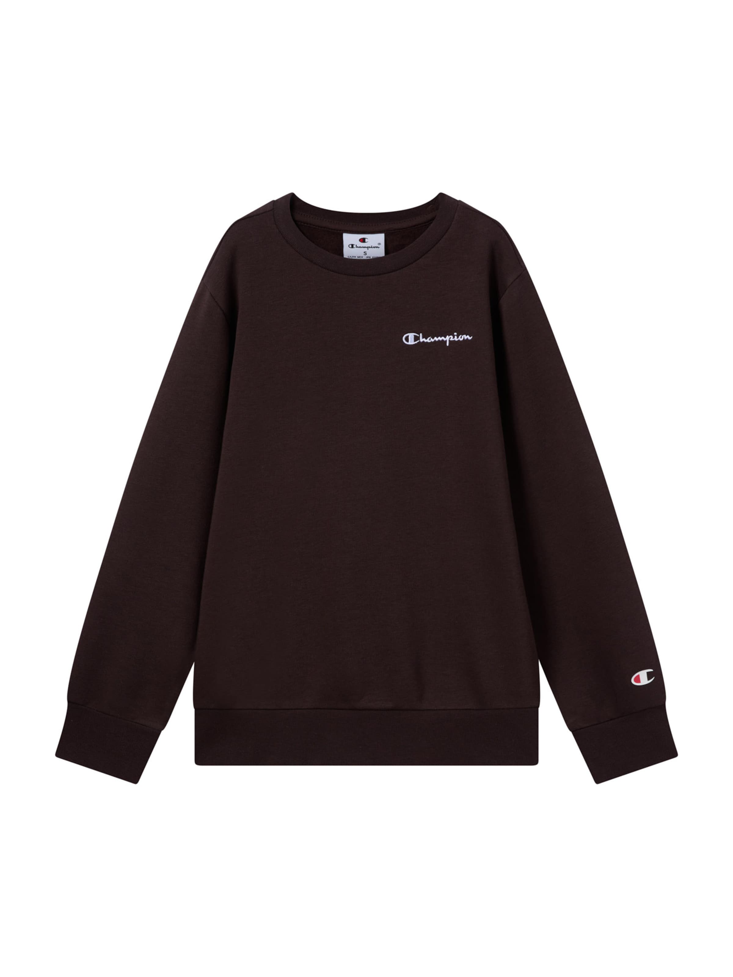 Sweat Champion Authentic Athletic Apparel en marron : devant