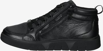 ARA High-Top Sneakers 'Cervocalf' in Black
