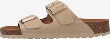 SALAMANDER Pantolette 'Basic' in Beige: Vorderseite