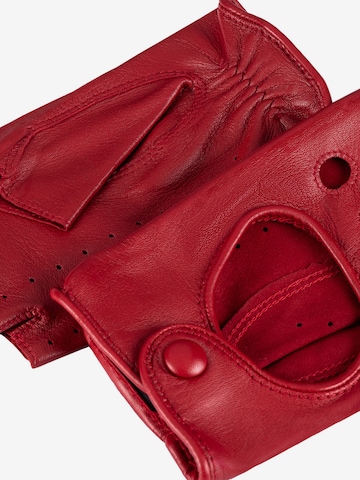 Roeckl Handschoenen met korte vingers ' Florenz Autofahrer ' in Rood
