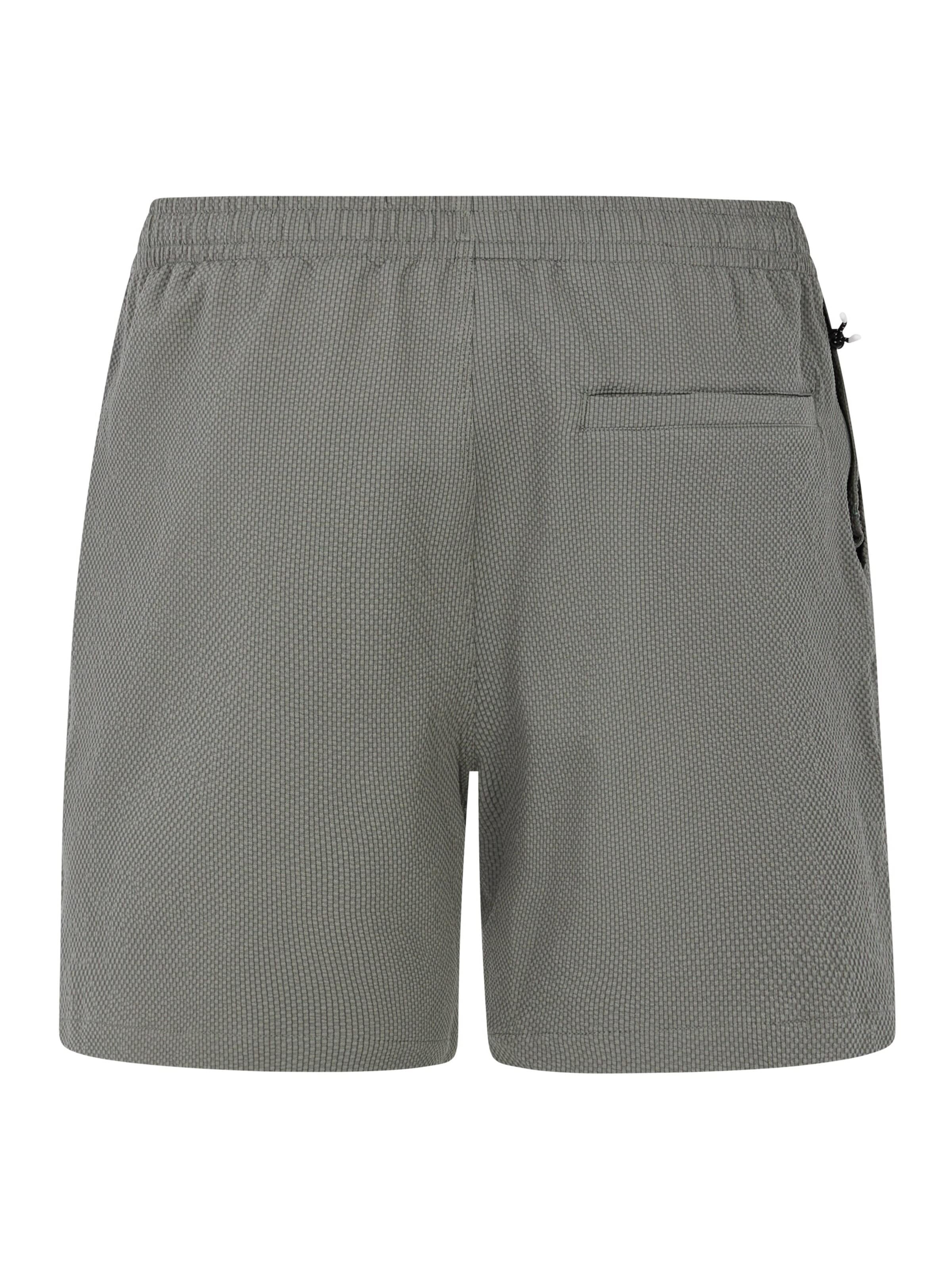 PROTEST Board Shorts 'PRTWytona' in Grey