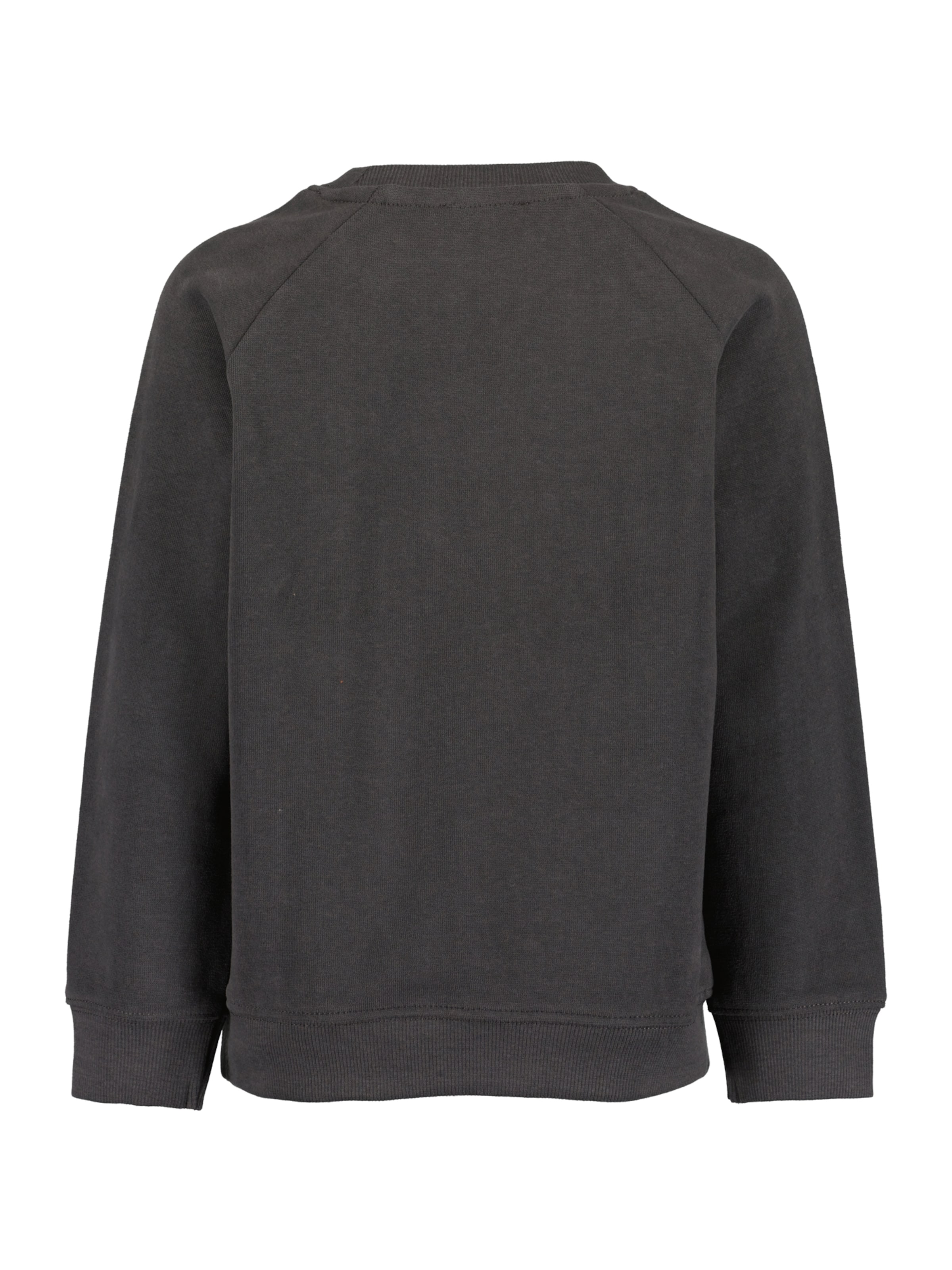 BLUE SEVEN Sweatshirt in Grey