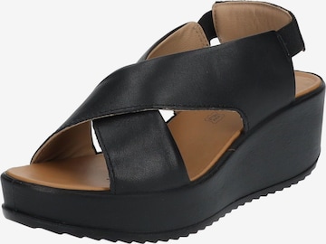 IGI&CO Sandals in Black: front