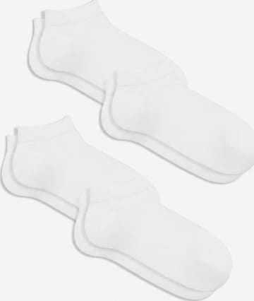 Albero Natur Ankle Socks 'Bio-Baumwoll-Sneakersocken Unisex - 4er Pack' in White: front