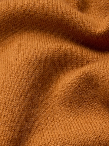 FALKE Sweater 'Pure Cashmere' in Brown