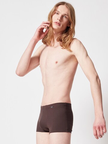 Skiny Regular Boxer shorts in Brown: front