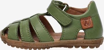 NATURINO Offene Schuhe 'SEE' in Grün: Vorderseite