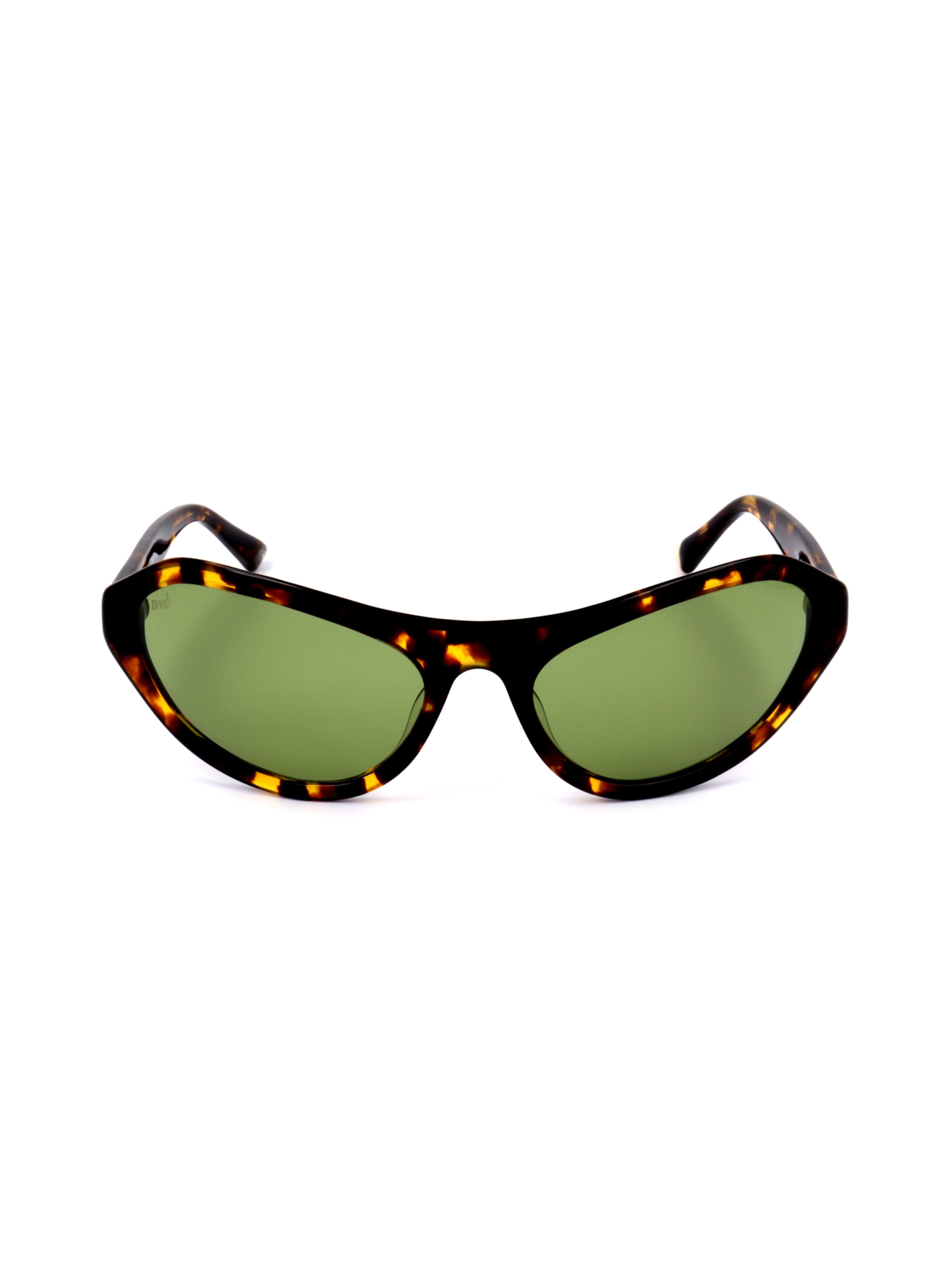 Occhiali da sole 'WE0288' di Web Eyewear in marrone: frontale