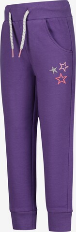 SALT AND PEPPER Tapered Pants in Purple