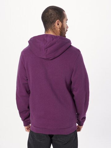 Iriedaily Zip-Up Hoodie 'Mini Flag 2' in Purple