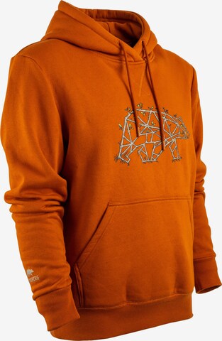 FORSBERG Sweatshirt in Orange