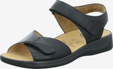 Ganter Sandals in Black: front