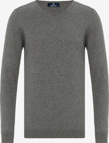 Auden Cavill Sweater 'DANKA' in Grey: front