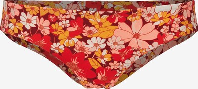 O'NEILL Športne bikini hlačke 'Maoi' | oranžna / breskev / rdeča / bela barva, Prikaz izdelka