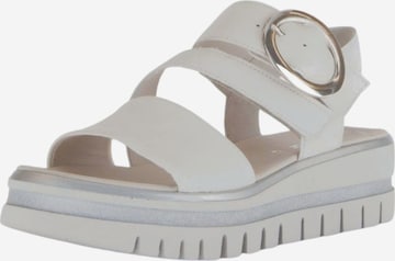 Sandales GABOR en beige : devant