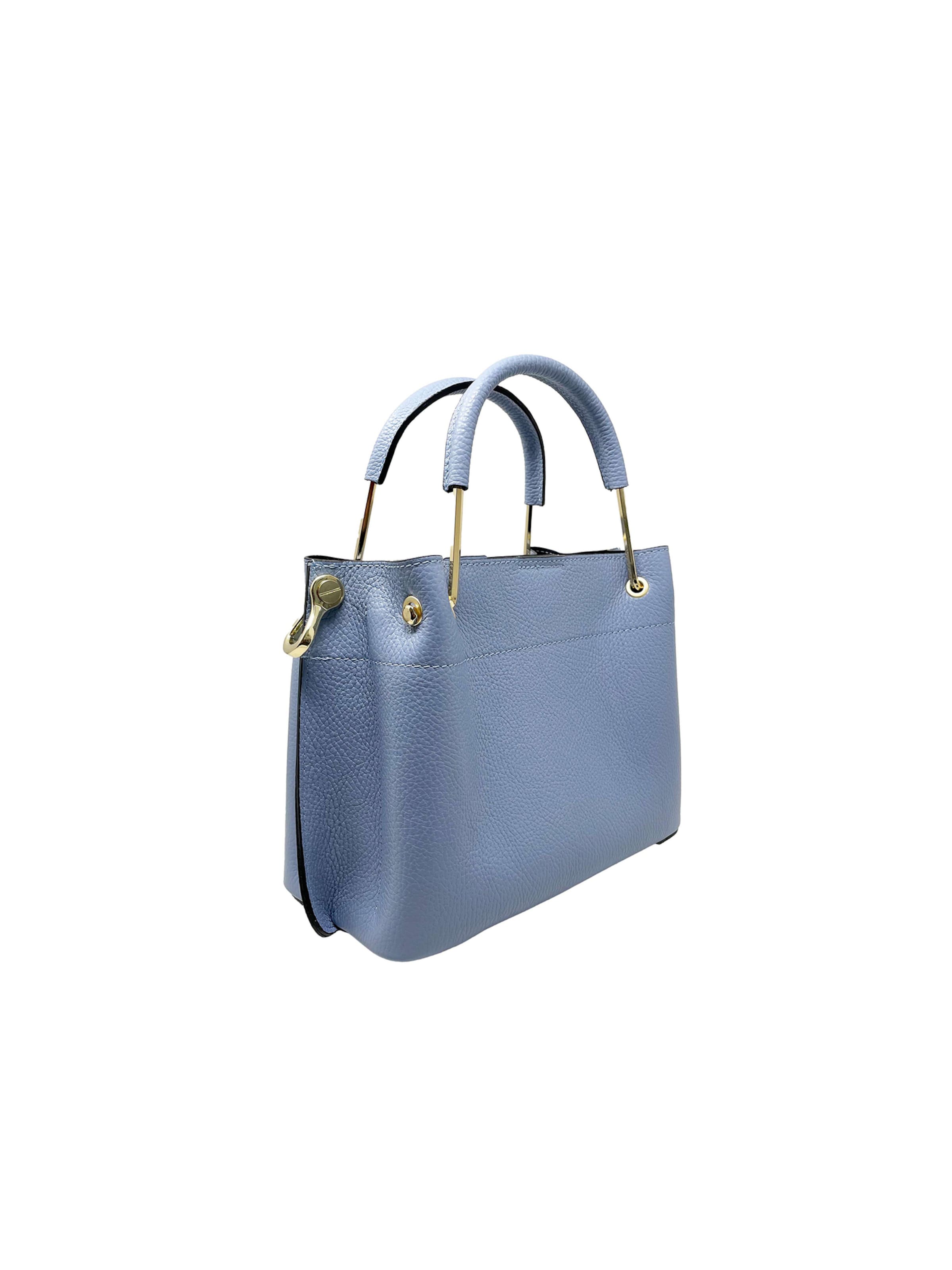 CHICCA BORSE Handbag in Blue