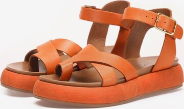 INUOVO Sandalen met riem in Oranje