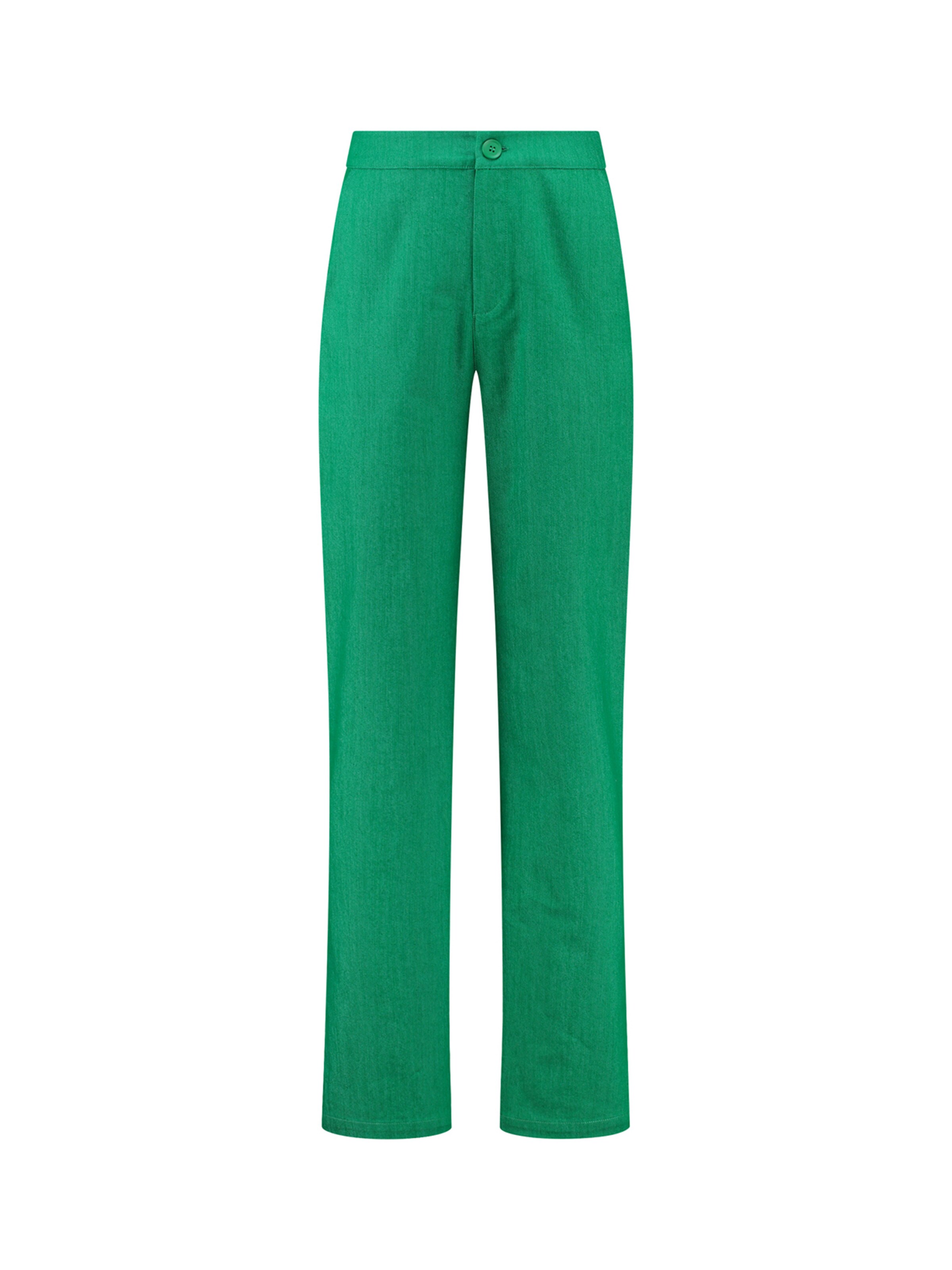 Shiwi - Pierna ancha Pantalón 'Mara' en verde: frente