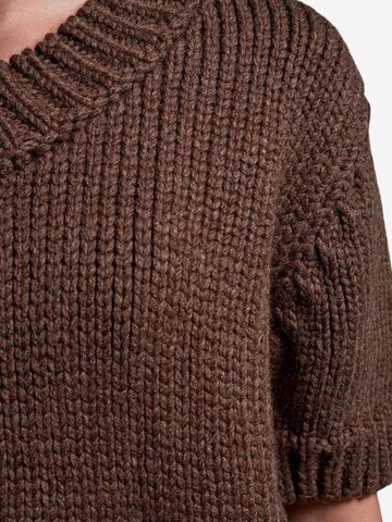 Dilvin Pullover 'Pullover'‌‌‌‌‌‌‌‌‌‌ in Braun