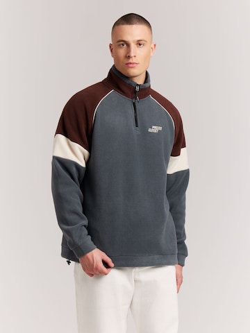 Sweat de sport 'PRTElmar' PROTEST en gris