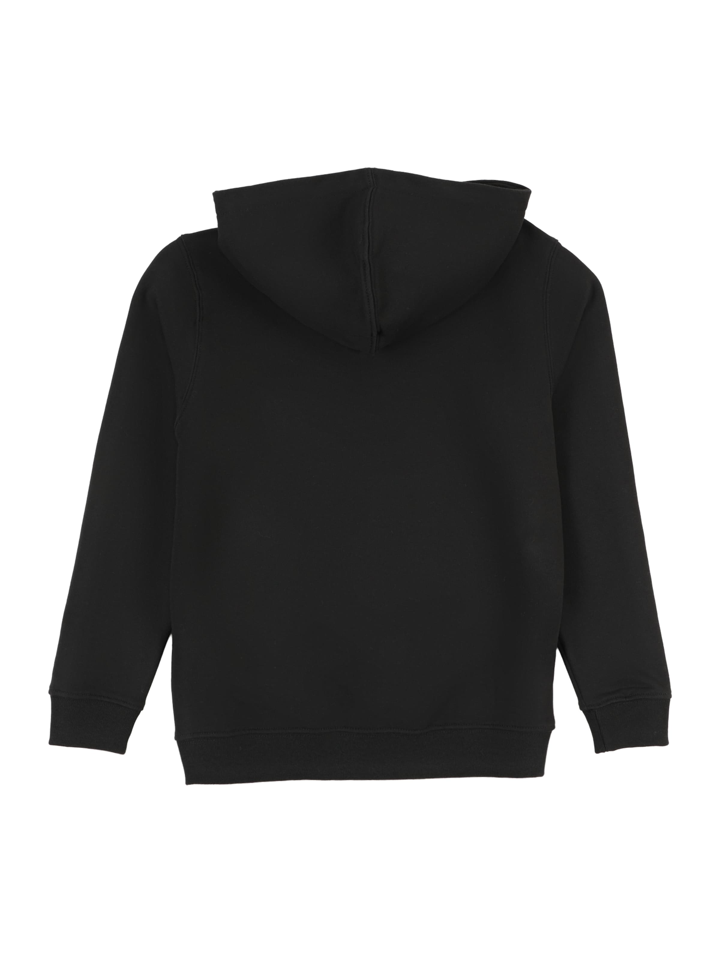 VANS Sweatshirt 'SALTON' in Black