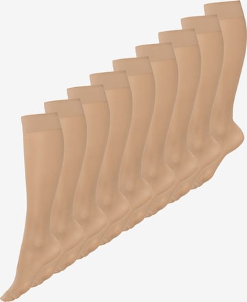 Nur Die Knee socks 'Vitastütz' in Brown: front