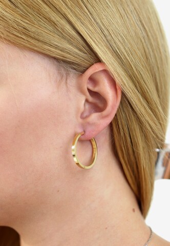 Steelwear Earrings in Gold