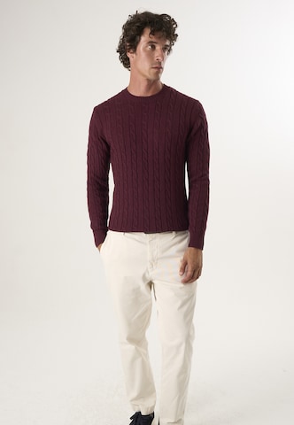 Pullover di Felix Hardy in rosso