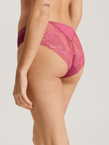 Slip ' Eva ' Hanro en rose