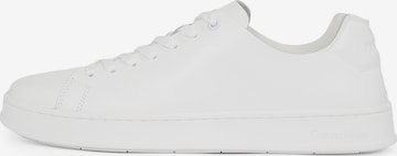 Calvin Klein Σνίκερ χαμηλό σε λευκό: μπροστά