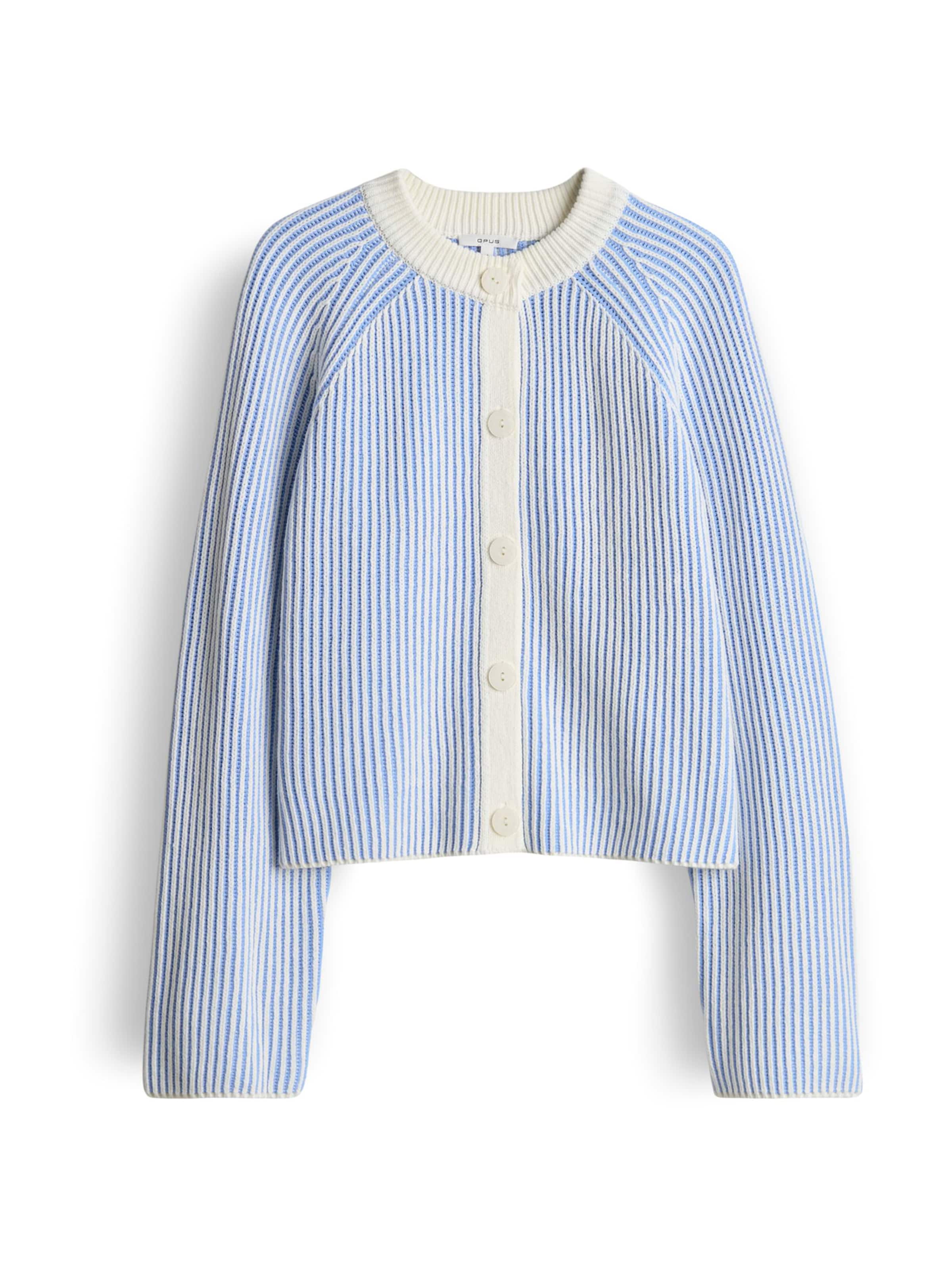 OPUS Knit cardigan 'Delsie' in Blue: front