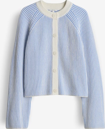 OPUS Strickjacke 'Delsie' in Blau: Vorderseite