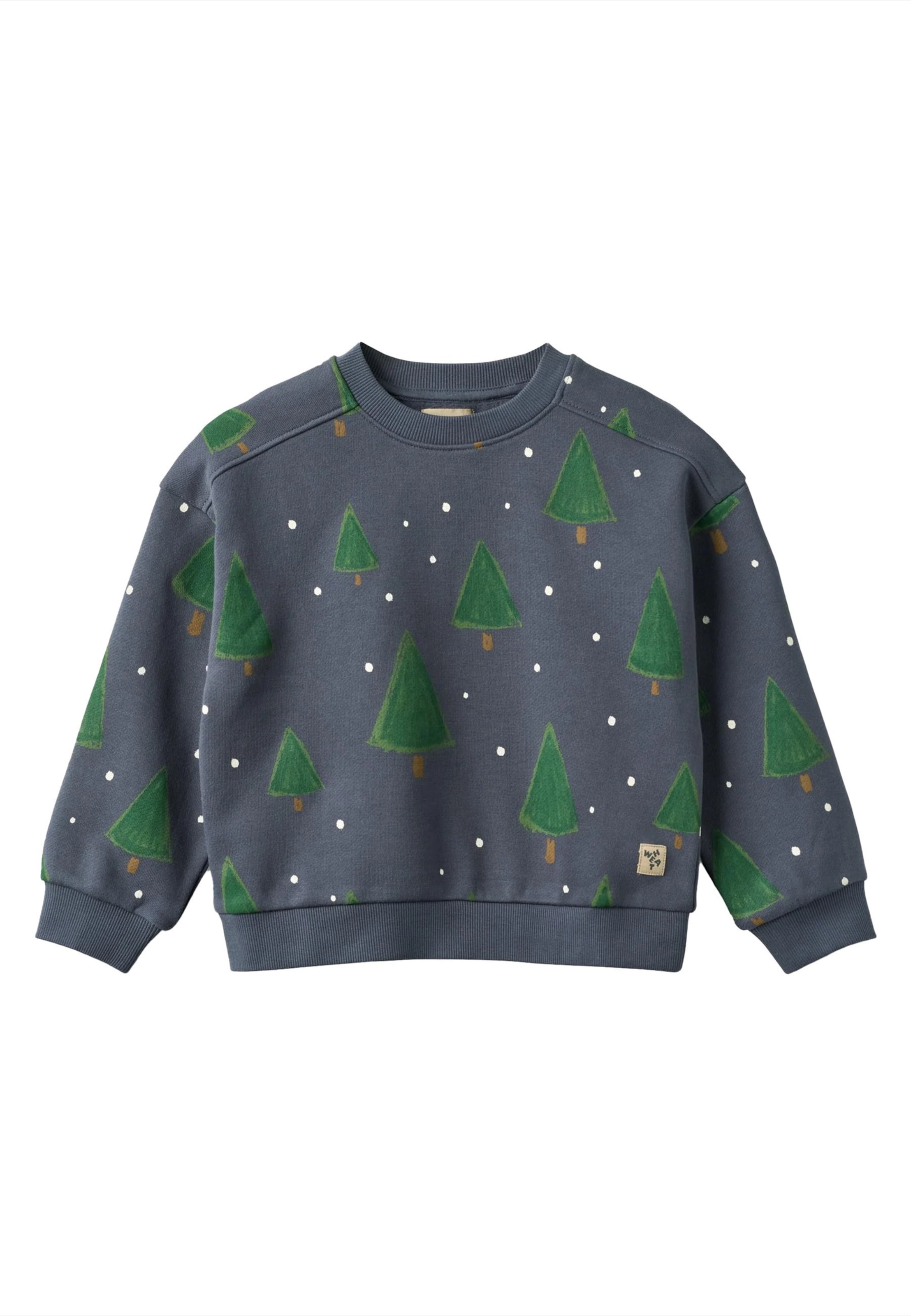 WHEAT Sweatshirt 'Sandro' in Grijs: voorkant