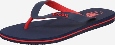 Polo Ralph Lauren Zehentrenner 'Bolt' in dunkelblau / rot, Produktansicht