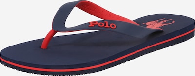 Polo Ralph Lauren Tongs 'Bolt' en bleu foncé / rouge, Vue avec produit