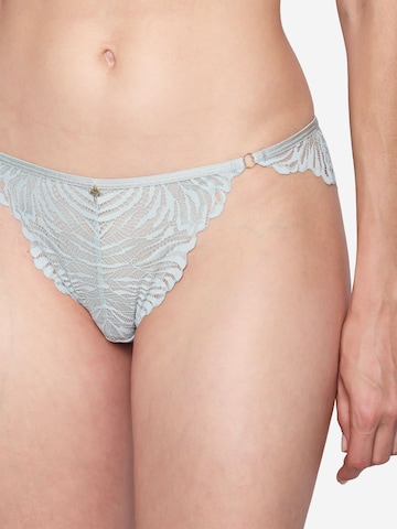 Slip ' Charming ' JOOP! en gris