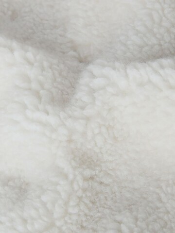 THE NORTH FACE Fleece Jacket 'Zip Extreme Pile 2' in Beige