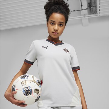 T-Shirt fonctionnel 'Island 2024' PUMA en gris : devant