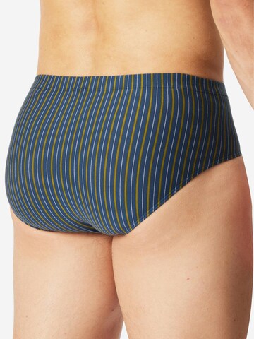 SCHIESSER Slip '95/5 Essentials - Cotton' in Blauw