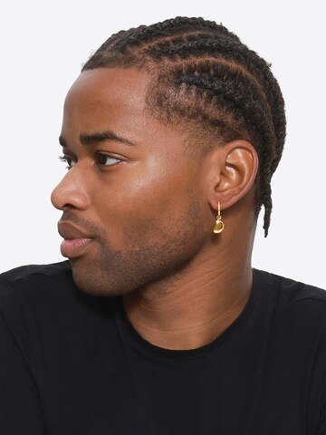 Boucles d'oreilles Heideman en or : devant