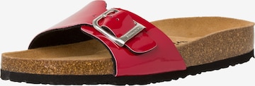 TAMARIS Mules in Red: front