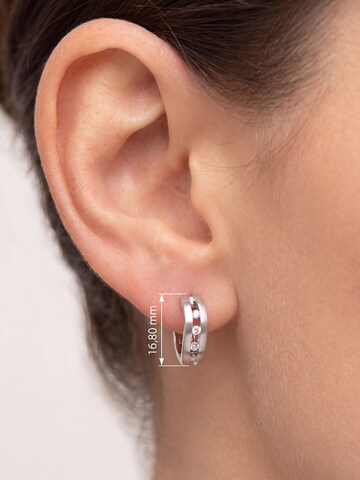 Jobo Earrings in Silver