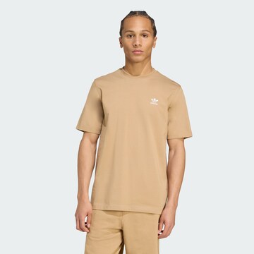 ADIDAS ORIGINALS Футболка 'Trefoil Essentials' в Коричневый: спереди