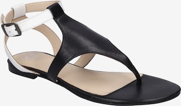 GERRY WEBER T-Bar Sandals 'Gadera 08' in Black